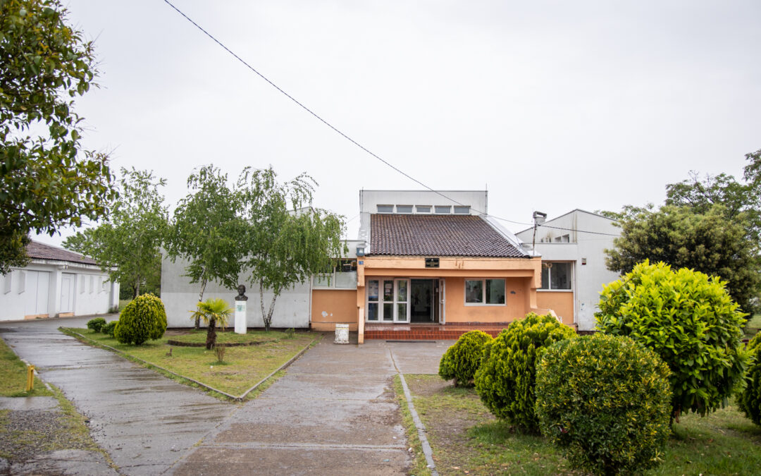 16. Suncokret